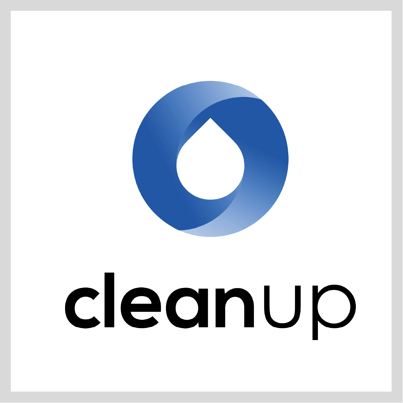 CLEANUP SOLUTIONS